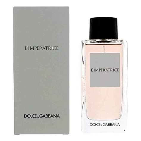 ropa de marca dolce gabbana|Dolce & Gabbana colonia mujer.